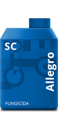ALLEGRO BASF MONDINO GRIMALDI