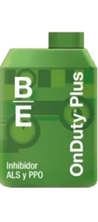 basf ONDUTY mondino grimaldi